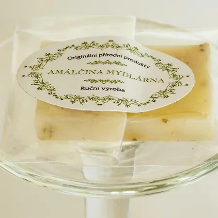 Dvůr Krasíkov Agroturismo *