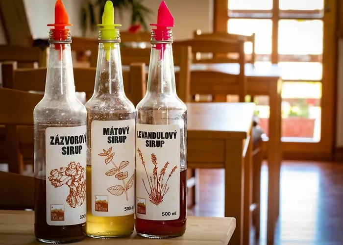 Dvur Krasikov ファームステイ Kokašice